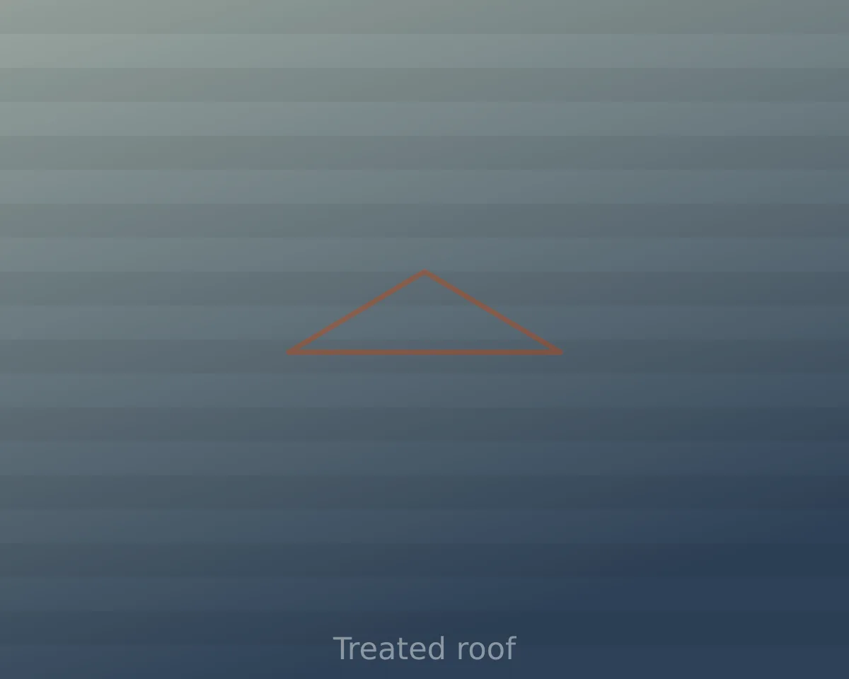 Asphalt shingle roof in sound condition after treatment